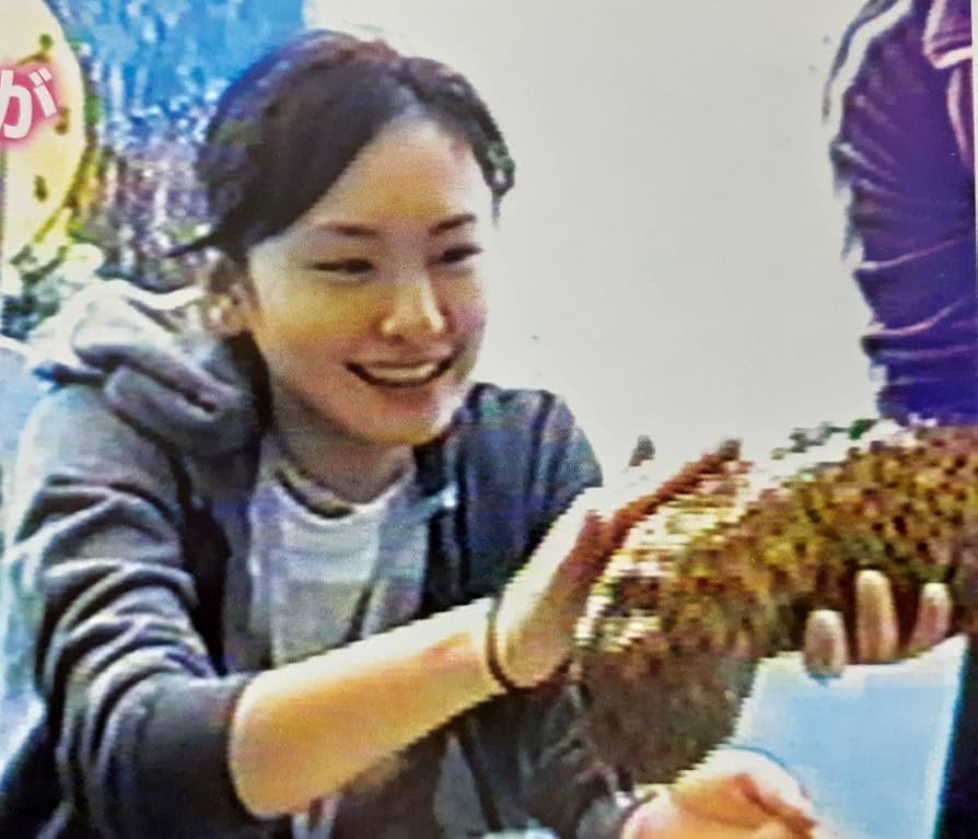 ▲新垣結衣▲切り抜き▲ Yahoo!オークション - 切り抜き「新垣結衣」約100ページ 雑誌